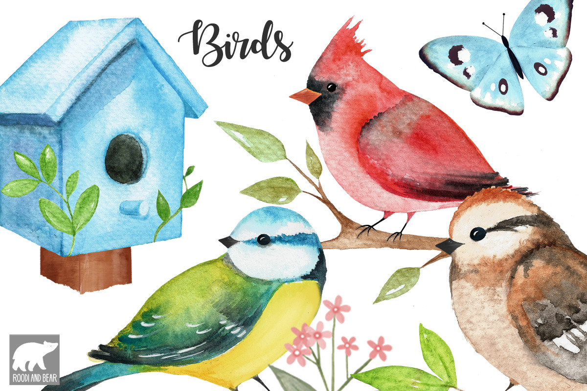 Watercolor Birds, an Illustration by Roodi and Bear (Photo 1 of 2)