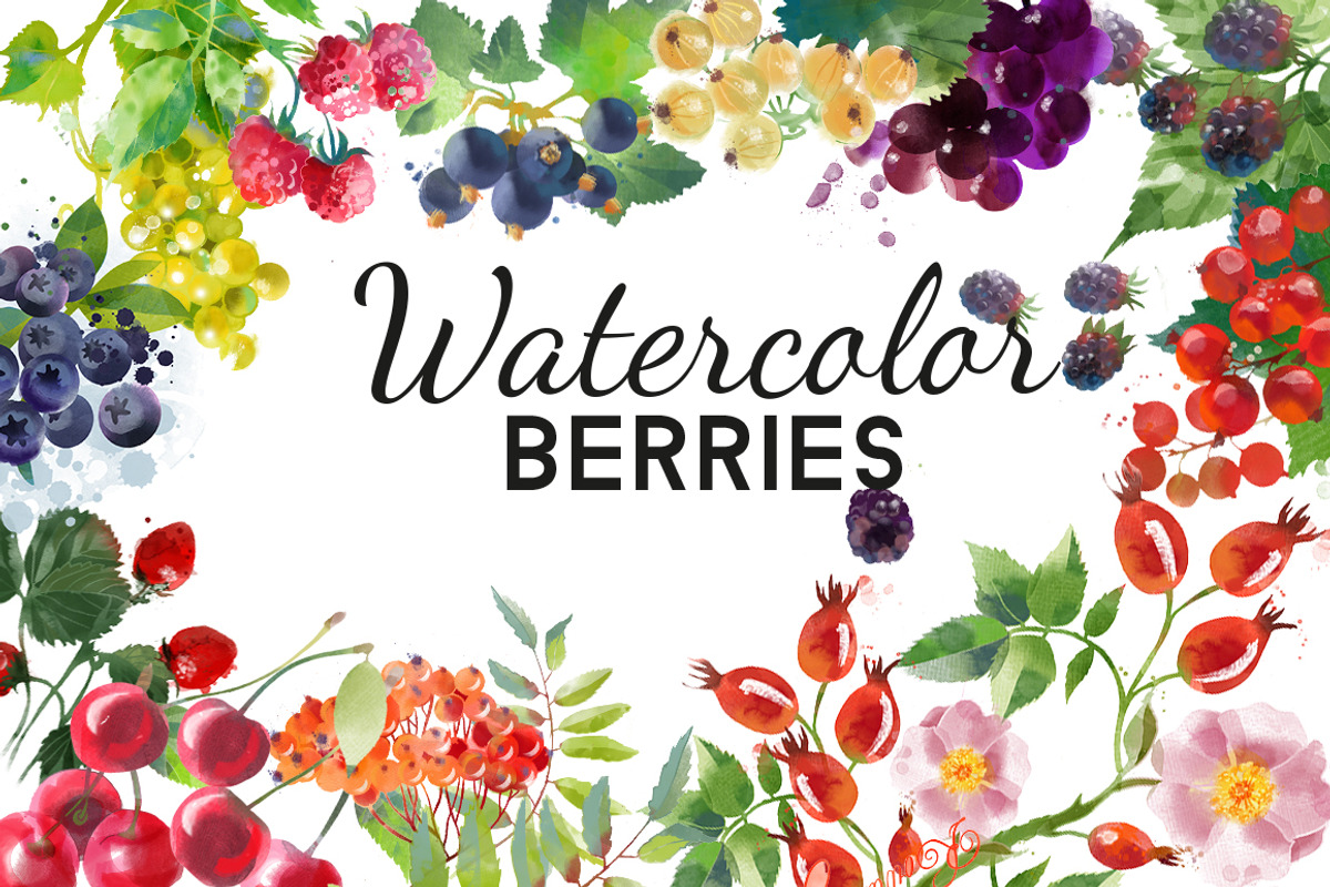 Watercolor berries, an Illustration by Tatiana Davidova (Photo 1 of 2)