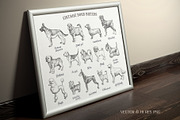 Dog breeds vintage hand drawn vector, an Illustration by Aquatinta (Thumbnail 5 of 8)