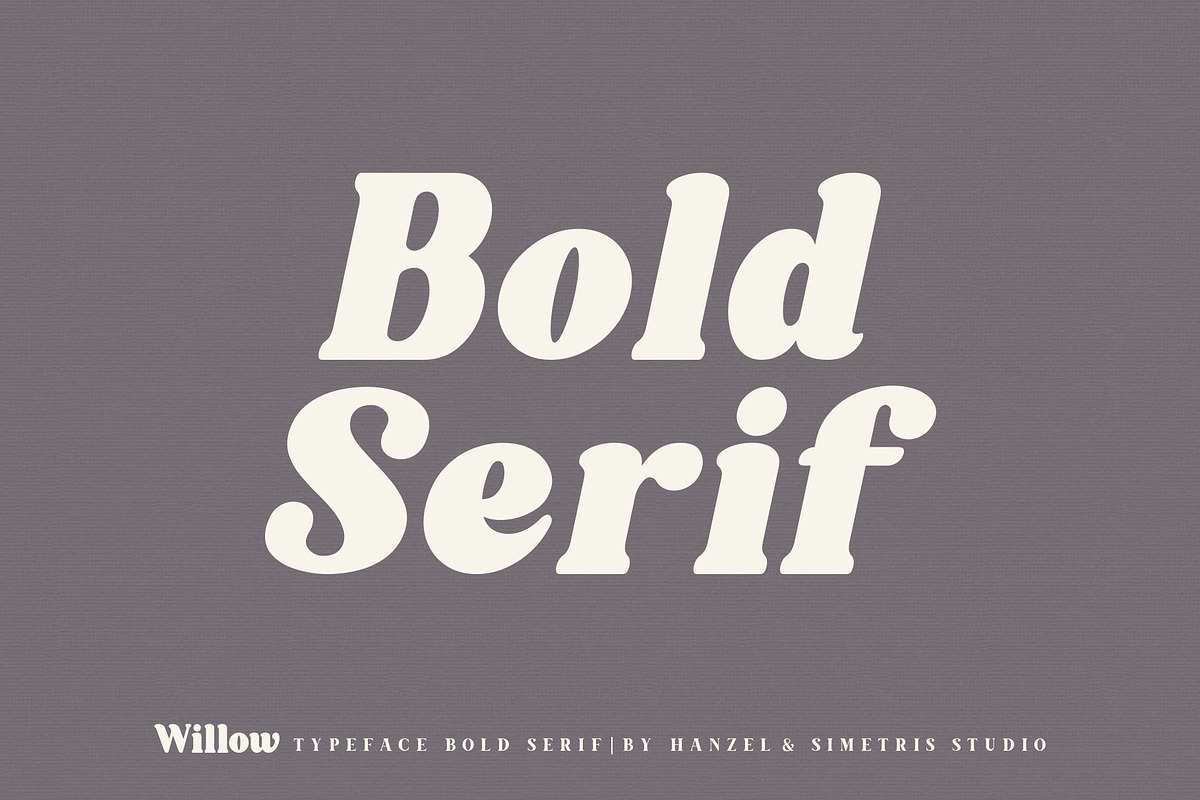 Willow. Typeface Bold Serif preview 7