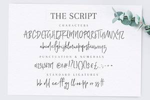 Poppit & Finch Fonts & Illustrations