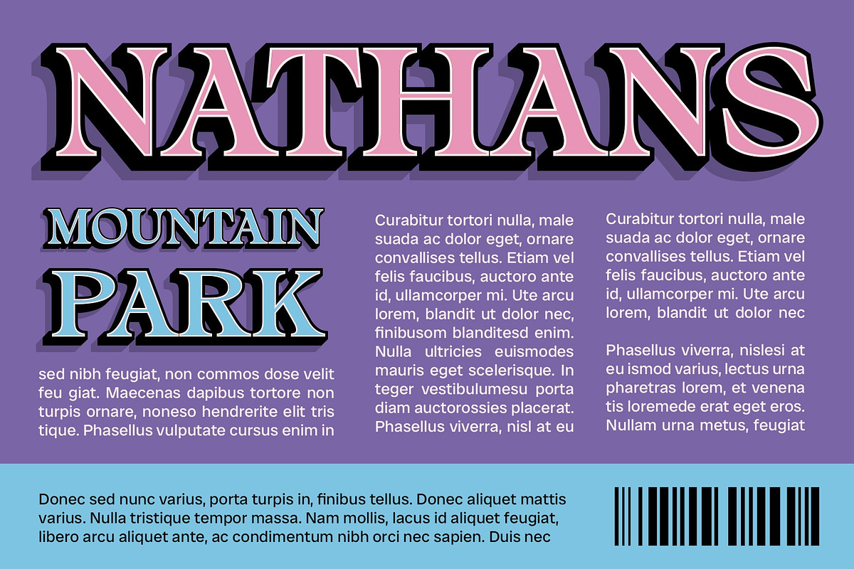 Alvinus 3D, a Serif Font by Craft Supply Co. (Photo 4 of 8)