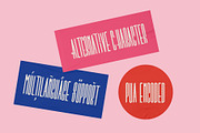 Pink Coast Typefaces, a Blackletter Font by Emyself Design (Thumbnail 5 of 13)