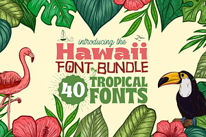 Hawaii Font Bundle - 71 Fonts!, a Serif Font by HipFonts