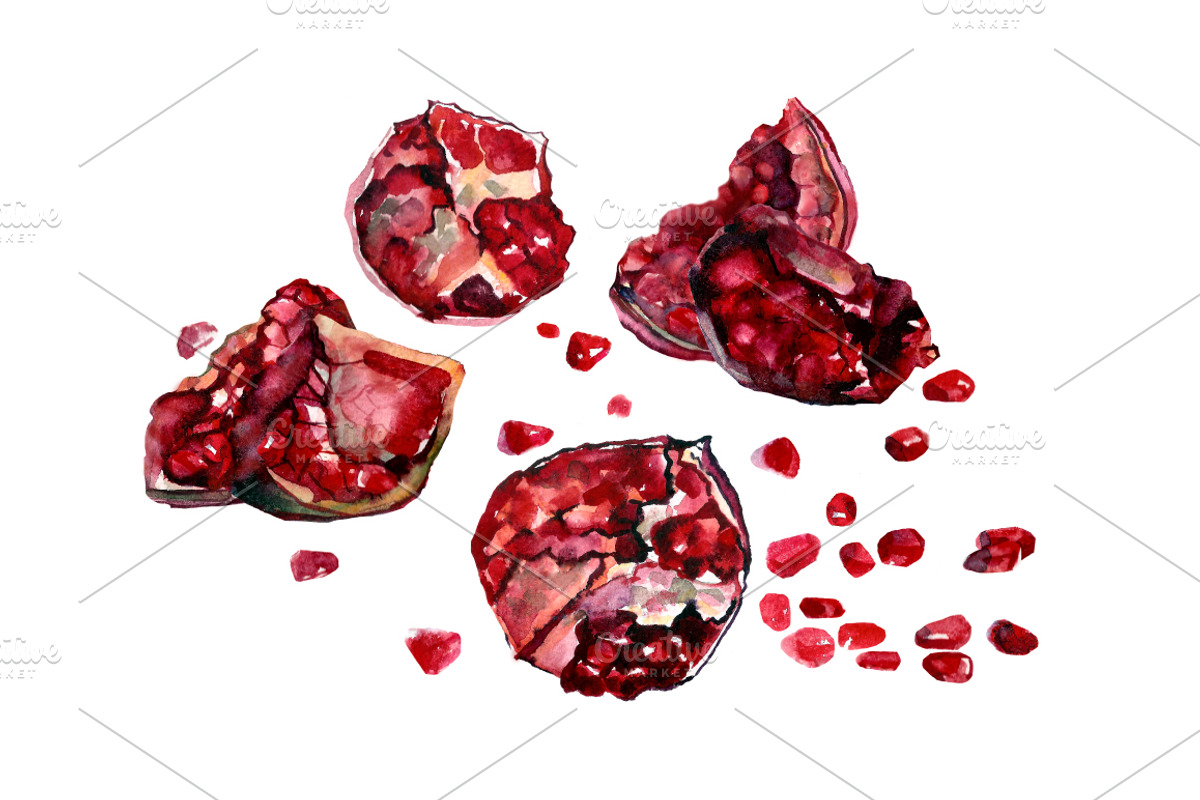 Pomegranate Watercolor, a Food Illustration by ArtOwl (Photo 3 of 6)