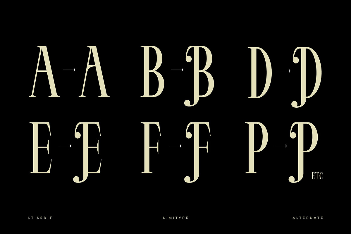 LT Serif - Modern Serif Font, a Serif Font by limitype (Photo 3 of 9)