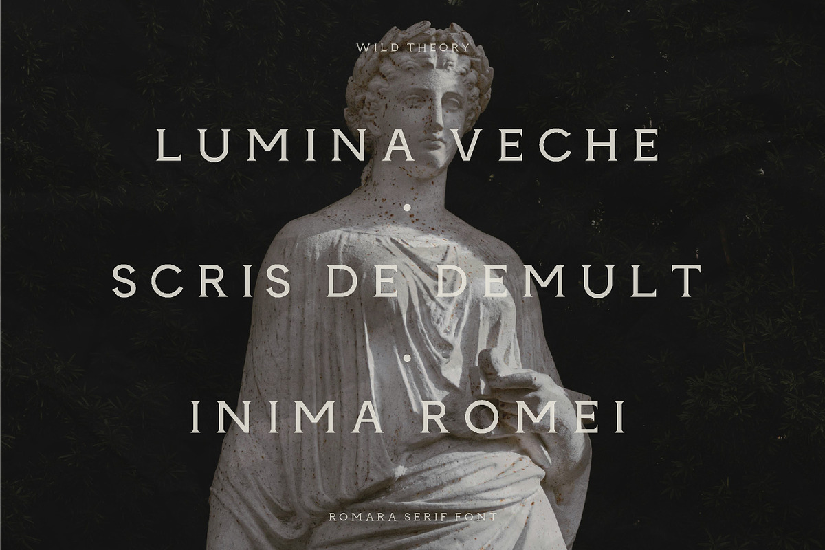 Romara | Elegant & Modern Serif Font, a Font by Wild Theory (Photo 15 of 16)