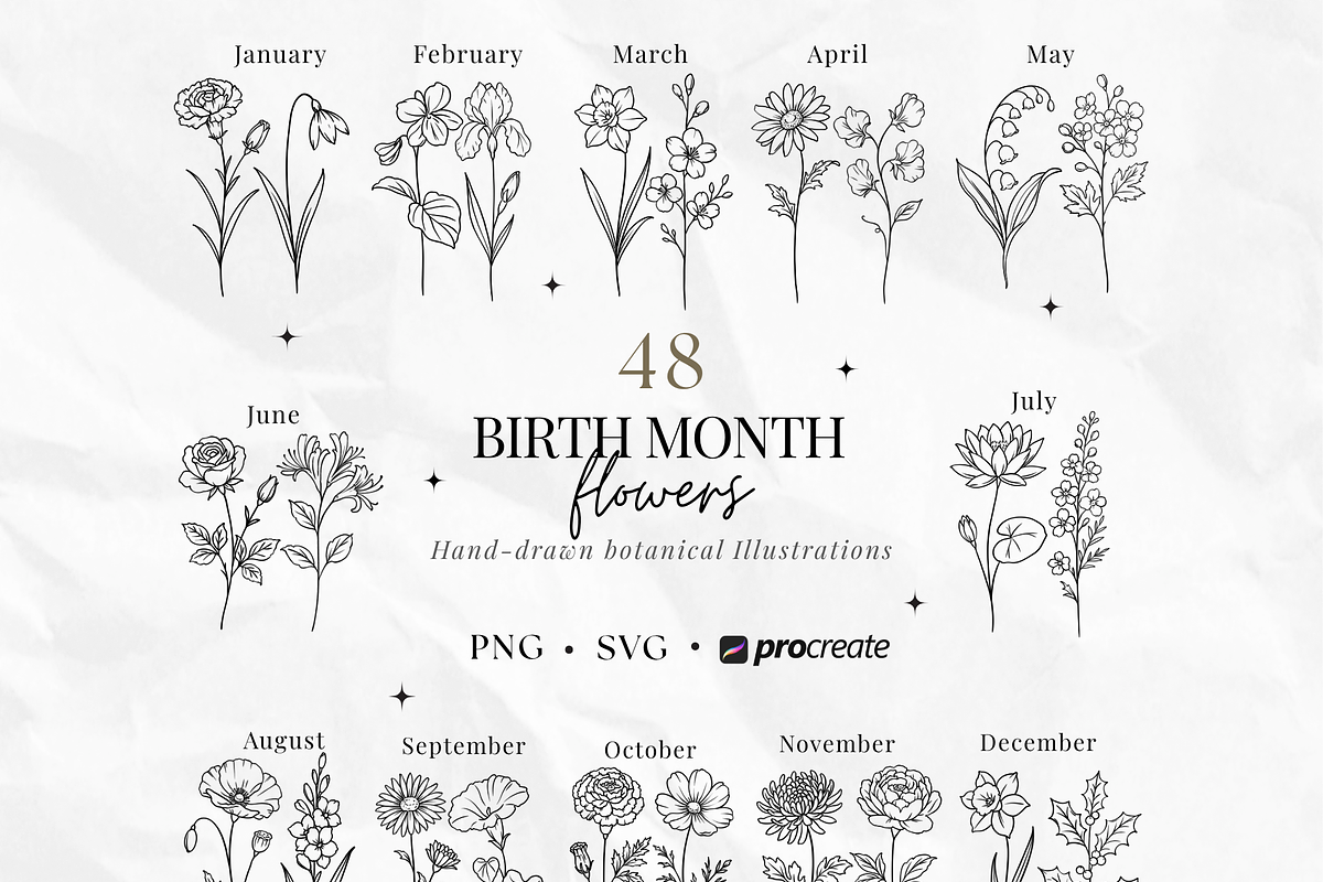 Birth Flowers Procreate PNG SVG, a Brush Add-On by LaurenceVArtiste (Photo 1 of 7)