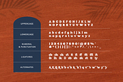 Cailesta, a Serif Font by Typia Nesia (Thumbnail 10 of 10)