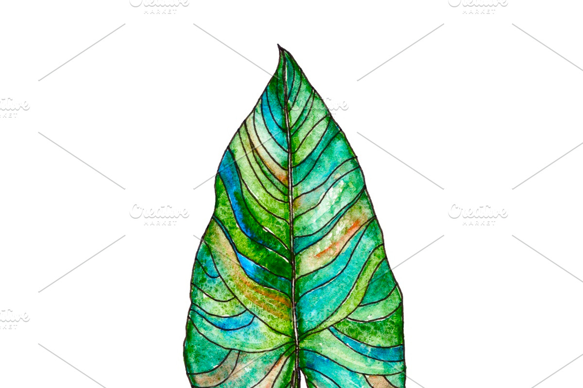 Watercolor palm leaves clipart, an Illustration by Watercolor_Vector Graphic (Photo 12 of 15)