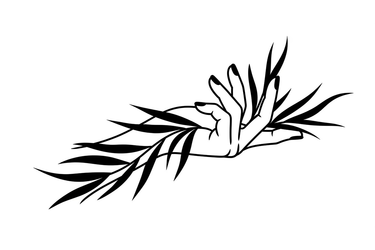 Hand Plant Growth Bundle, an Illustration by yasushie (Photo 21 of 31)