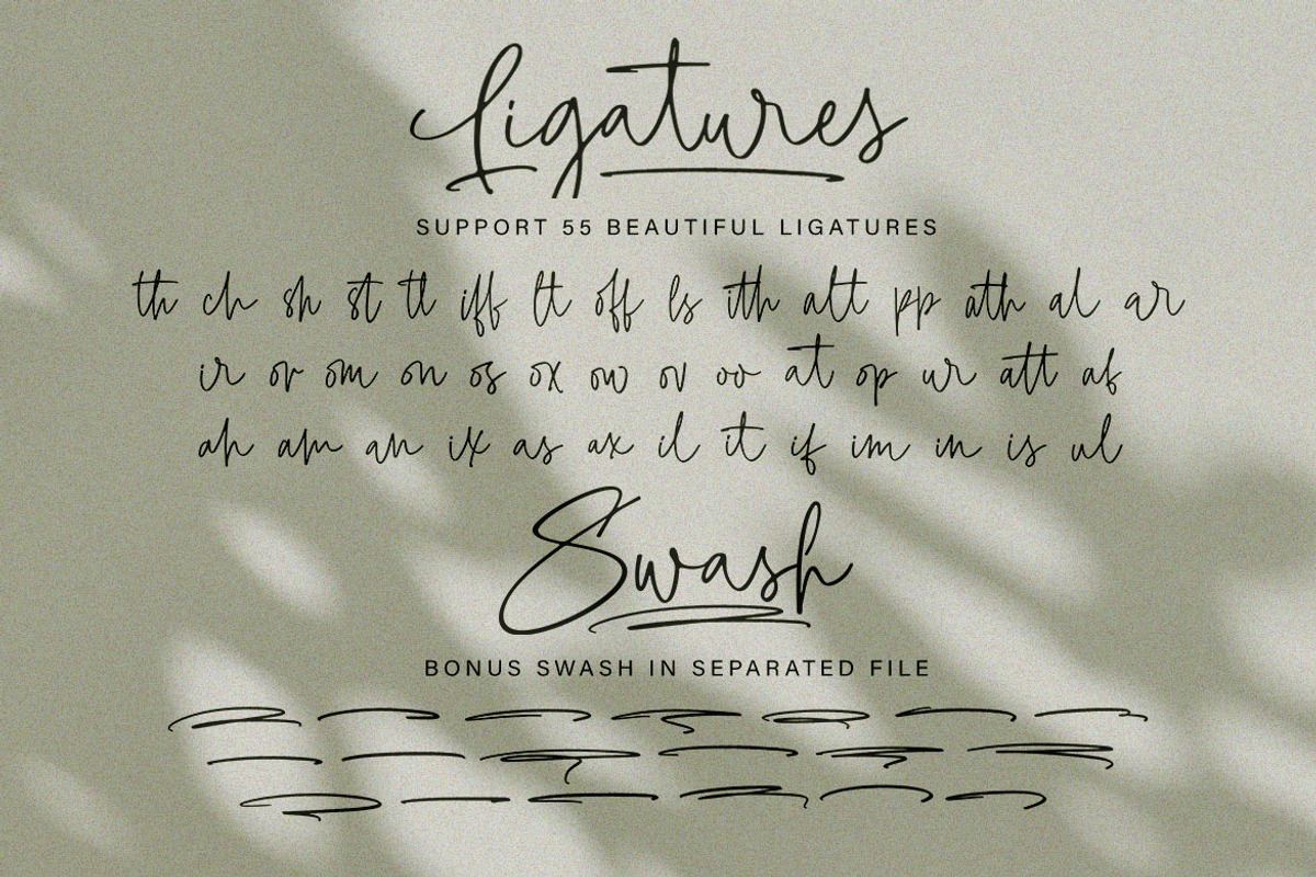 Ballpen - Handwritten Signature font, a Script Font by Subectype Studio (Photo 6 of 7)
