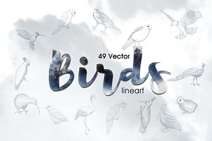 49 Birds Collection, an Animal Illustration by RHY Studio