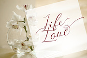Zially, a Script Font by Fontdroe (Thumbnail 8 of 10)