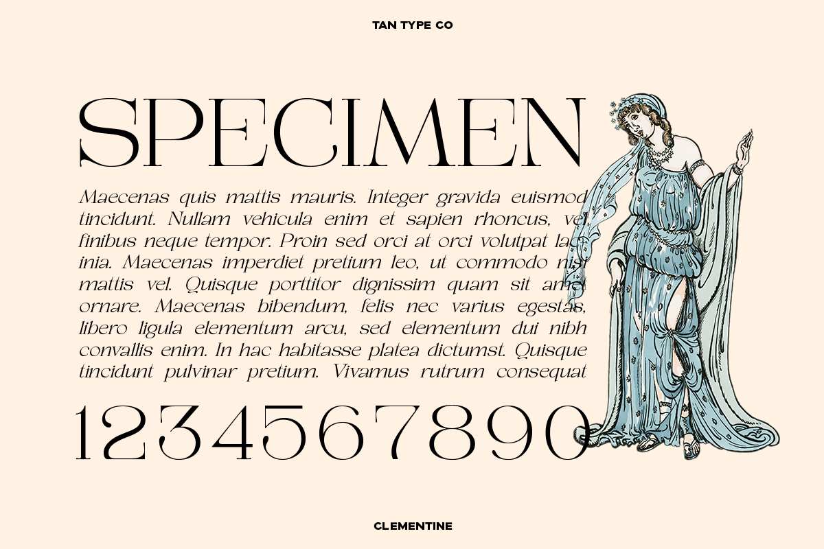 TAN - CLEMENTINE, a Serif Font by TanType (Photo 15 of 20)