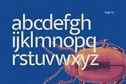 Veyla — Fashion-Edged Display Poise, a Sans Serif Font by ethylene.creative (Thumbnail 2 of 12)