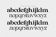Anglica Serif, a Serif Font by Pista Mova (Thumbnail 11 of 14)