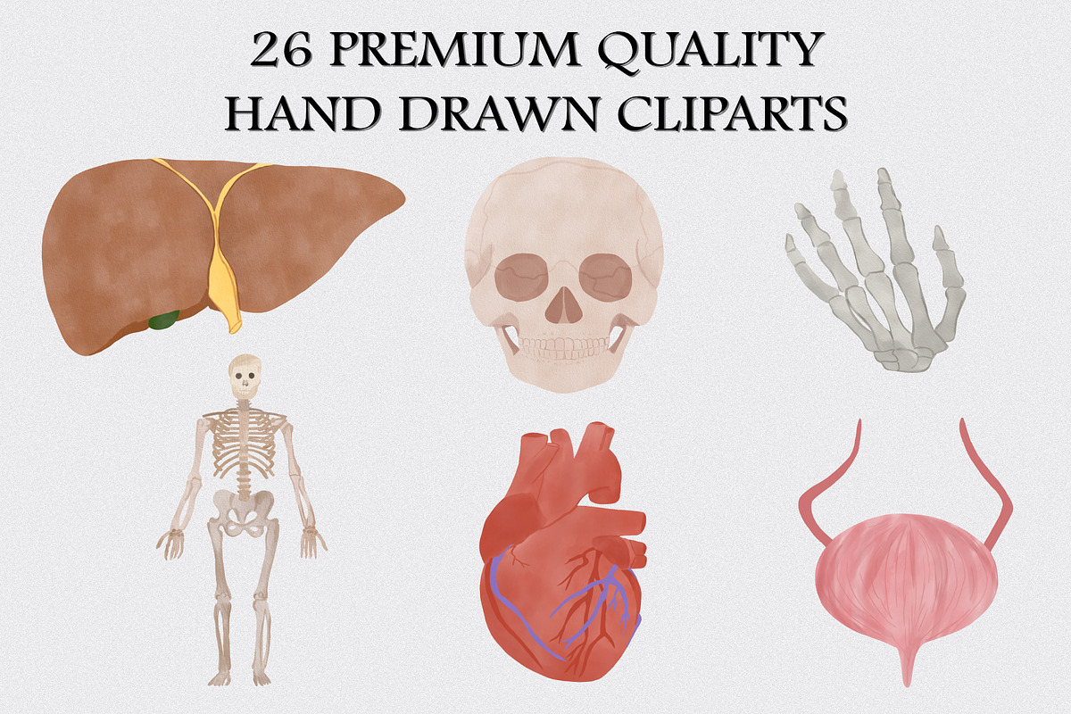 Watercolor Human Anatomy Clipart Set, an Illustration by CropUp Creative (Photo 2 of 4)