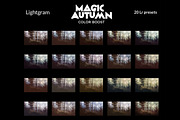 20 Autumn Lightroom Presets, an Action Add-On by Lightgram.com (Thumbnail 5 of 5)