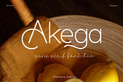 Akega Font Duo, a Script Font by Flawless And Co (Thumbnail 7 of 12)