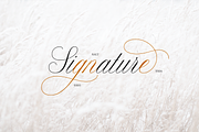 Claudya Script, a Script Font by Sikifonts (Thumbnail 6 of 11)