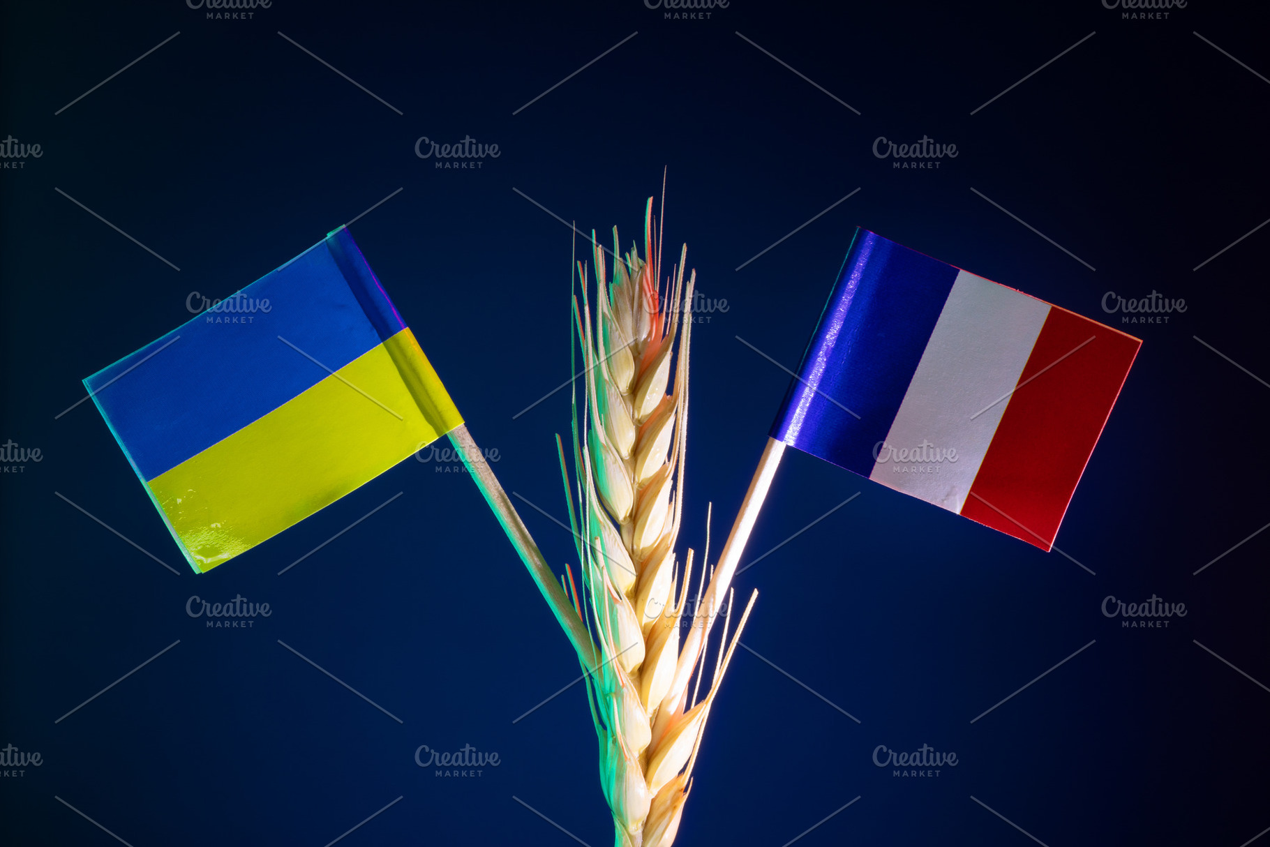 Ukrainian and French flags on wheat stalk against dark backgroun, an Industrial Photo by Ales Munt