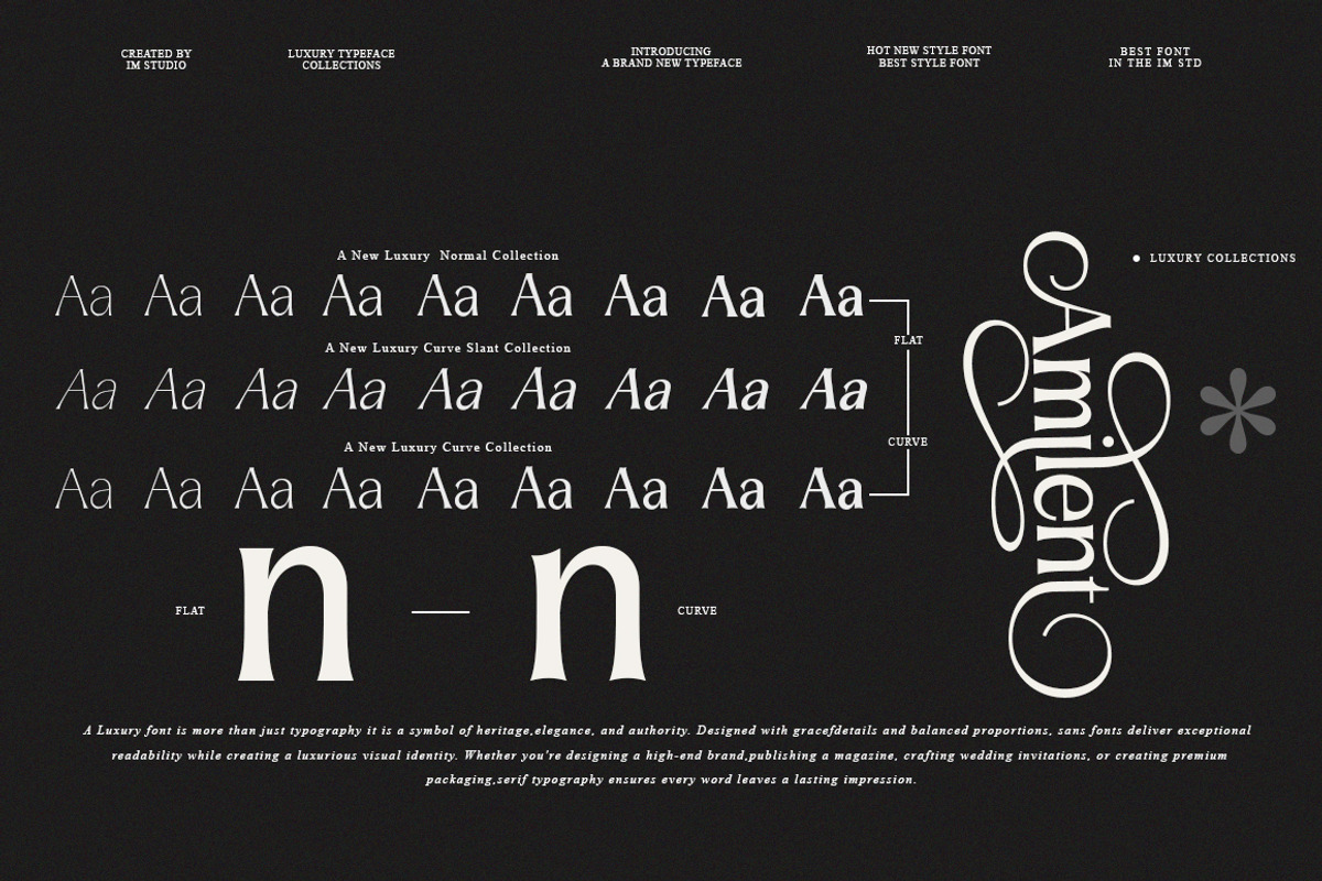 Amilent | 36 Style Font, a Serif Font by IM Studio (Photo 6 of 13)