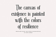 Cristtan Elegant Serif Font Typeface, a Serif Font by Perfectype (Thumbnail 2 of 6)