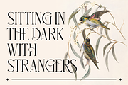 Glorious Serif Display Font, a Sans Serif Font by Storytype Studio (Thumbnail 3 of 15)