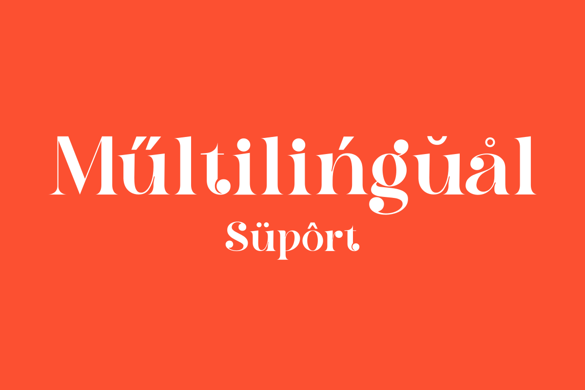Chan Romance, a Serif Font by zaaintype (Photo 5 of 11)