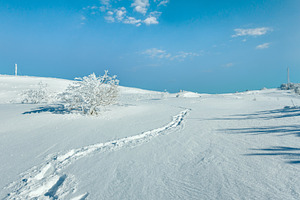 Winter hoar frosting trees, tower and snowdrifts (Carpathian mo, a Nature Photo by YuriyB