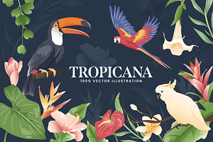 Tropical Illustrations Set