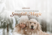 20 Snow Photoshop Brushes, a Brush Add-On by Walllow Creatives (Thumbnail 1 of 7)