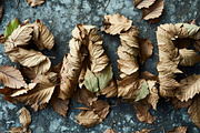 87 Sale images, a Business Photo by Handmadefont (Thumbnail 16 of 20)