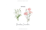 watercolor birth flowers collection, a Decorative Illustration by Patishop Art (Thumbnail 2 of 9)