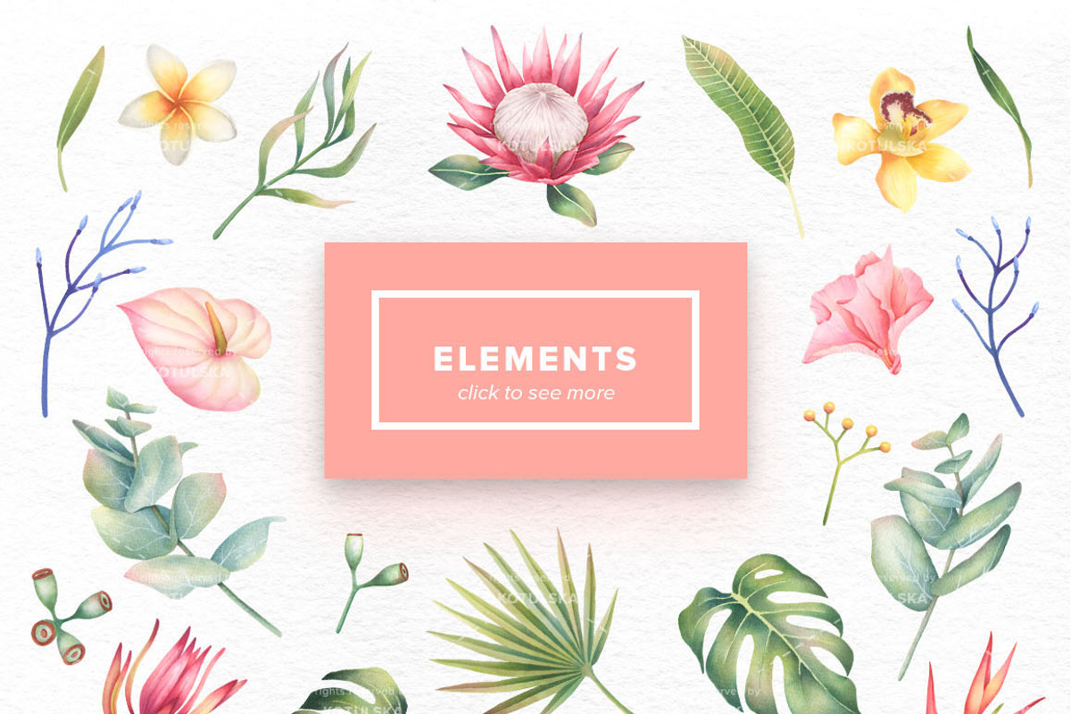 Watercolor Tropical Flowers Set, an Object Graphic by Kotulska (Photo 2 of 4)