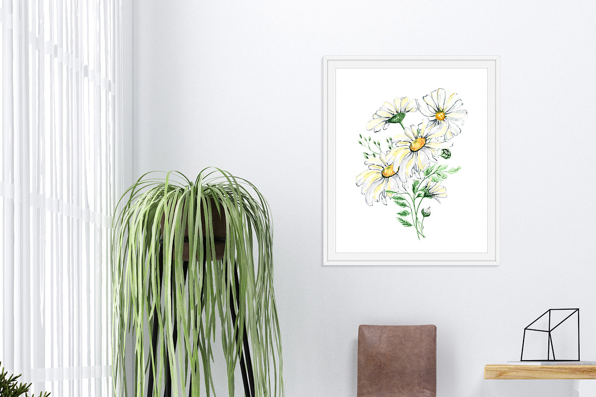 Watercolor Daisies, an Object Illustration by Olga Koelsch (Photo 10 of 12)