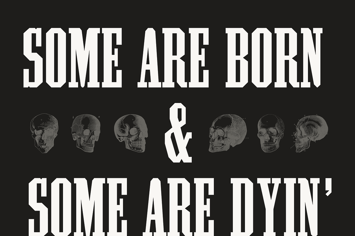 Pale Horse, a Slab Serif Font by Pale Horse (Photo 8 of 11)