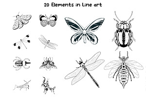 20 Vector Insects Illustrations