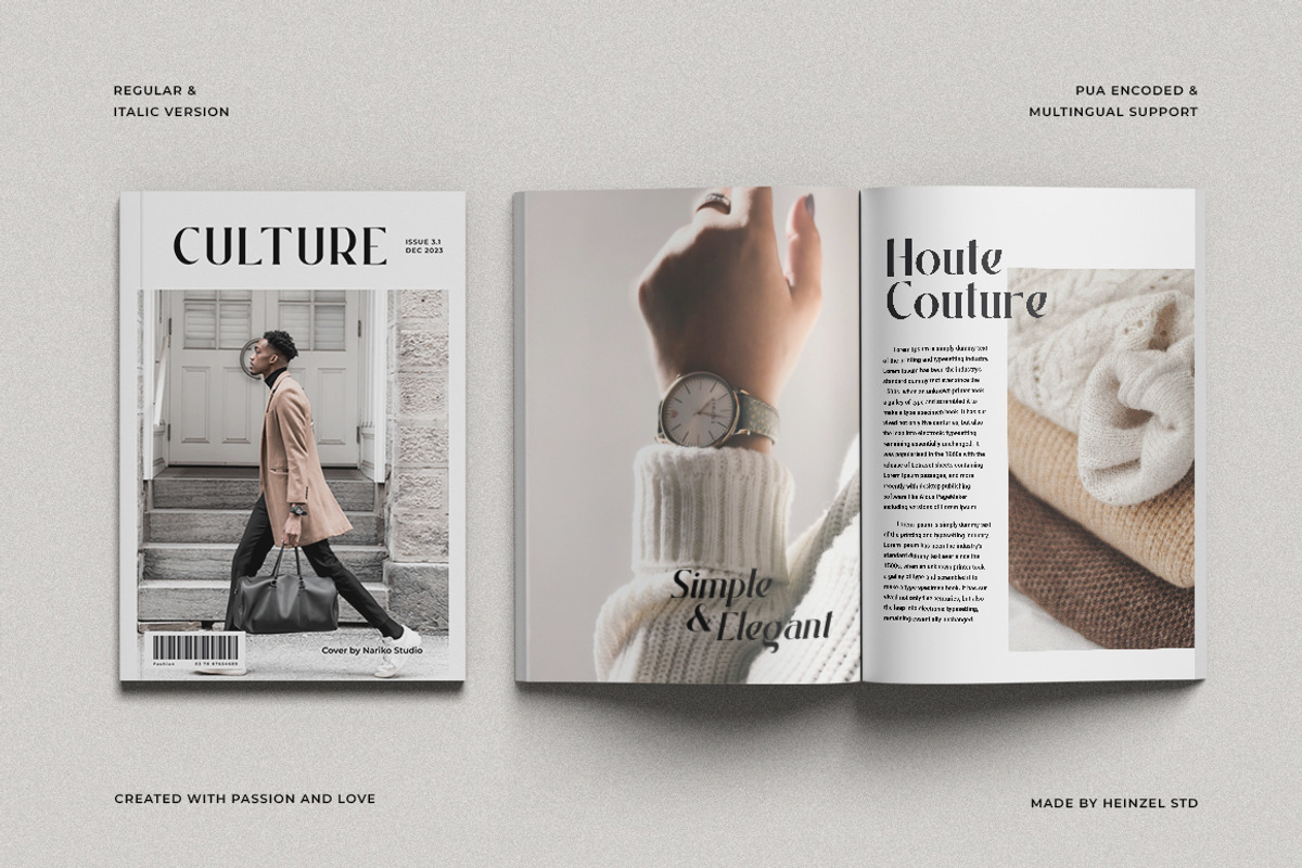 Badger Glance - Modern Serif Font, a Serif Font by Heinzel Std (Photo 3 of 14)