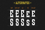 Wooderson Font, a Serif Font by Sirmon Stuff (Thumbnail 3 of 5)