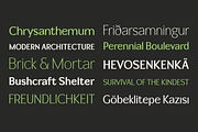 Hydrella | A Sharp New Sans, a Sans Serif Font by Ayca Atalay (Thumbnail 4 of 10)