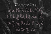 Rosewilt Swirly Fairytale Font, a Serif Font by The October Creative (Thumbnail 3 of 9)
