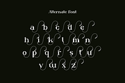 Clotfer - Modern Aesthetic Font, a Serif Font by Iqsiart Studio (Thumbnail 12 of 14)