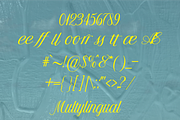 Delovancy - Script Calligraphy, a Script Font by zamjumps (Thumbnail 9 of 10)