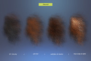 Realistic Fur & Hair Brushes, a Brush Add-On by ZiziMarket (Thumbnail 4 of 7)