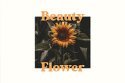 Magide – Bold Serif Font, a Serif Font by Issam Type (Thumbnail 8 of 13)