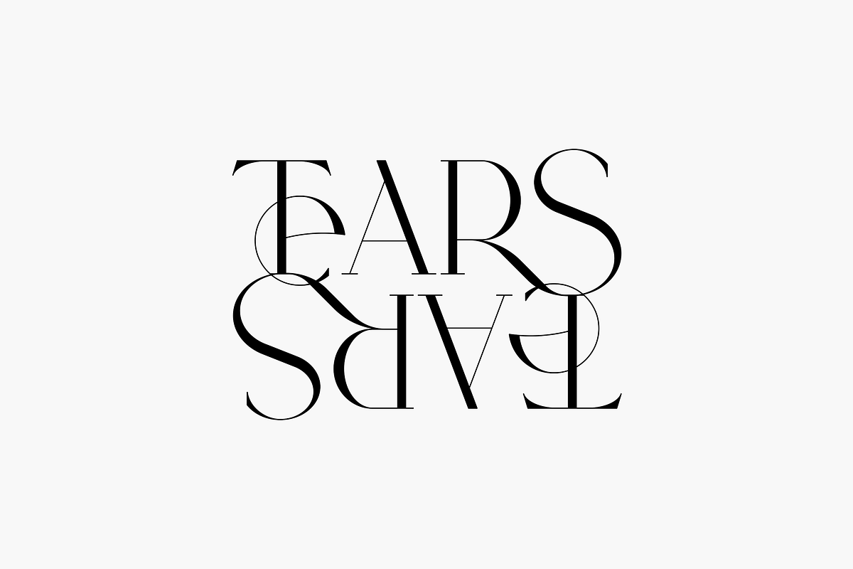 SALE! Type Maestro -  serif font, a Serif Font by VP Fonts (Photo 8 of 25)