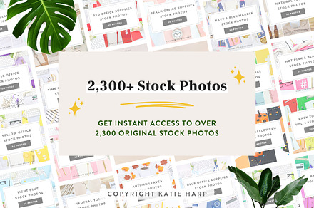 2,300+ Styled Stock Photo Bundle