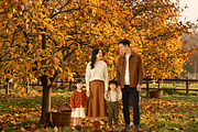 Autumn Photography Digital Backdrops, a Background Graphic by 3Motional (Thumbnail 17 of 19)